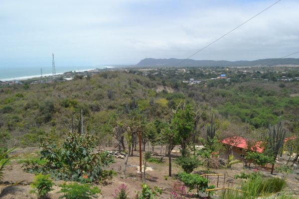 View toward casita